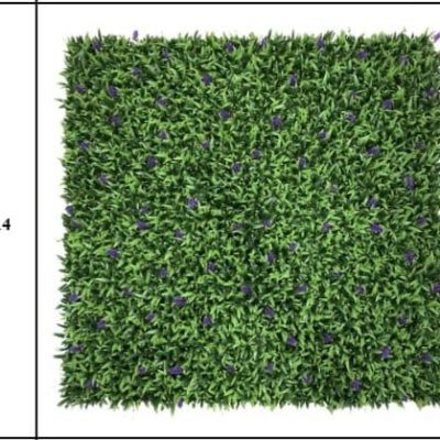 WhatsApp Image 2024-08-21 at 19.29.13_2cb25232